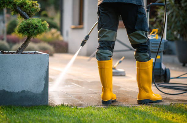 Best Power Washing Near Me  in Orangevale, CA